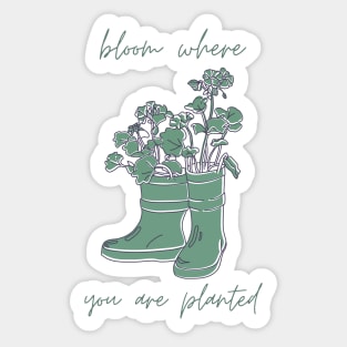 Bloom Where You Are Planted Sticker